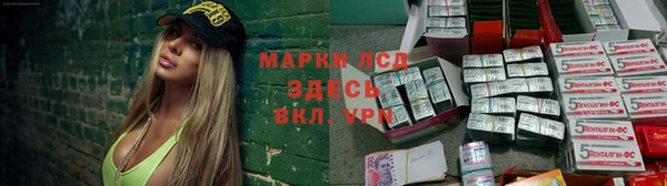 амф Аркадак